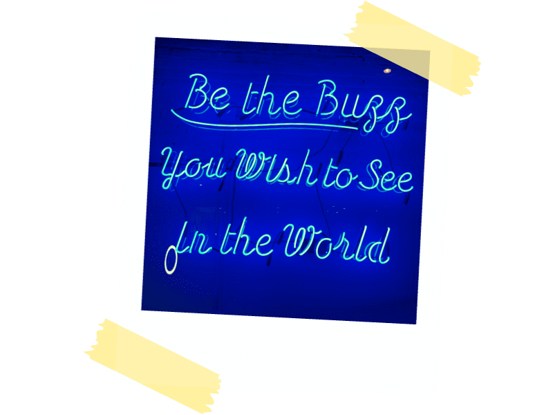 About Wheelhouse Marketing Calgary - Be the Buzz You Wish To See 