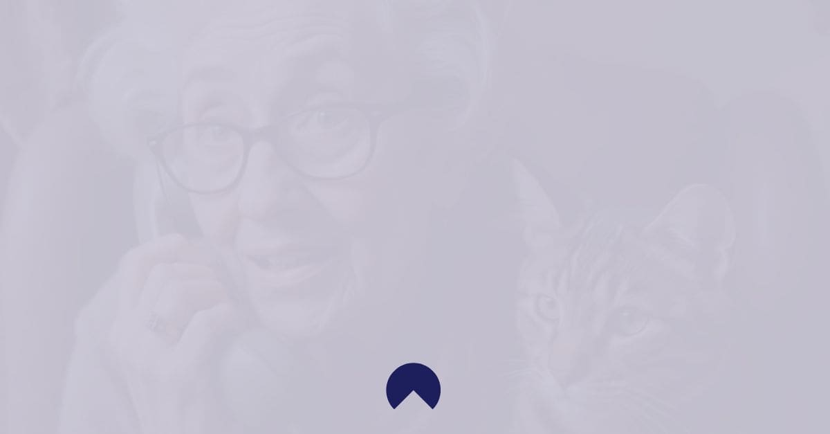 Wheelhouse Marketing Calgary Blog - AI Marketing Inspo - Daisy AI Granny